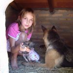 Lilly in der Hundehütte
