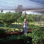 Letzte Anweisungen zur Gartenpflege von Oma