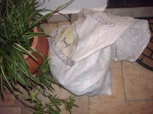 Hund im Sack