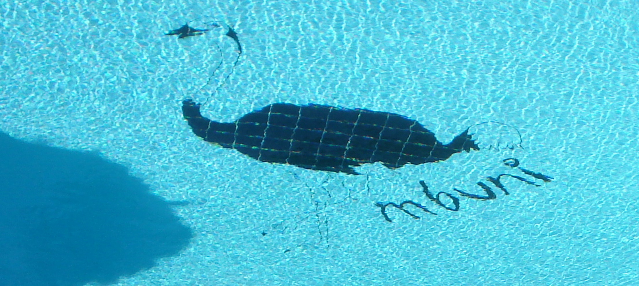 Strauß im Pool